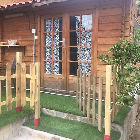 Cabana Camino A Las Escobinas 特尔德 外观 照片